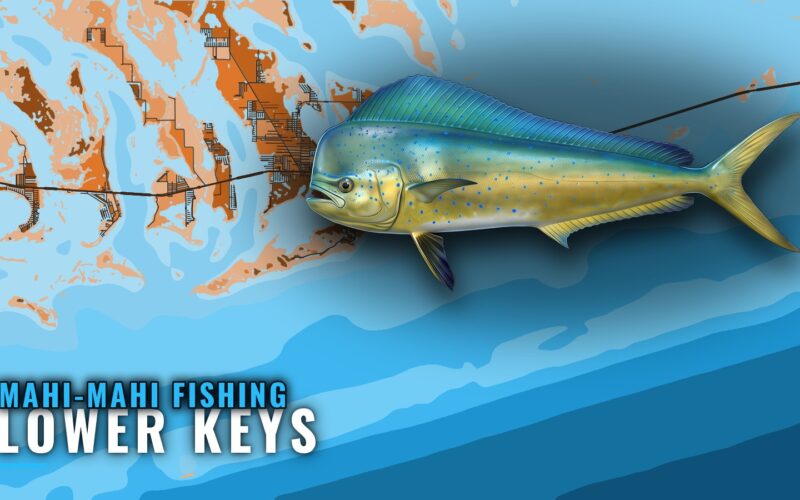 Mahi-Mahi Fishing out of the Lower Keys: Where to Run