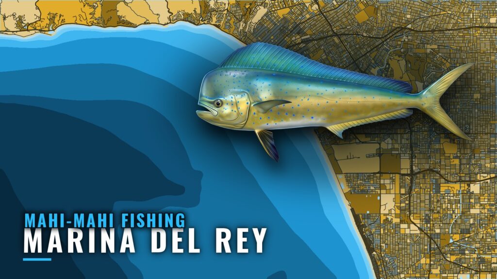 Mahi-mahi Fishing out of Marina del Rey: Buoy, Reefs, Fleet