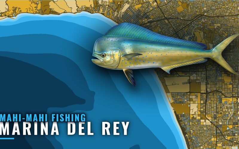 Mahi-mahi Fishing out of Marina del Rey: Buoy, Reefs, Fleet
