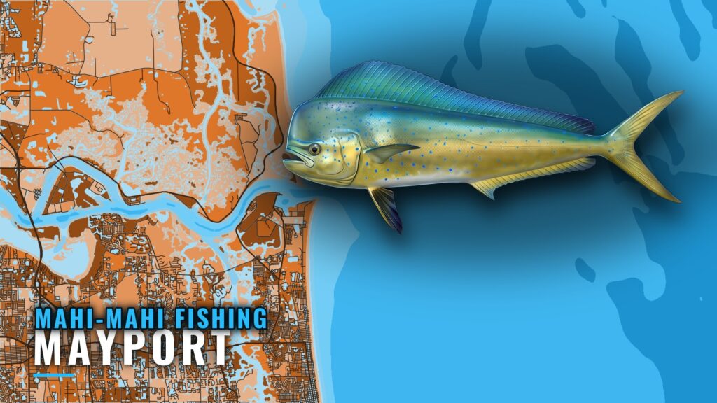 Mahi-mahi Fishing Out of Mayport: Grounds and Depths