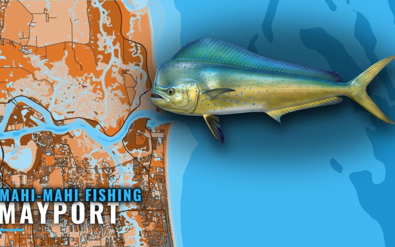 Mahi-mahi Fishing Out of Mayport: Grounds and Depths