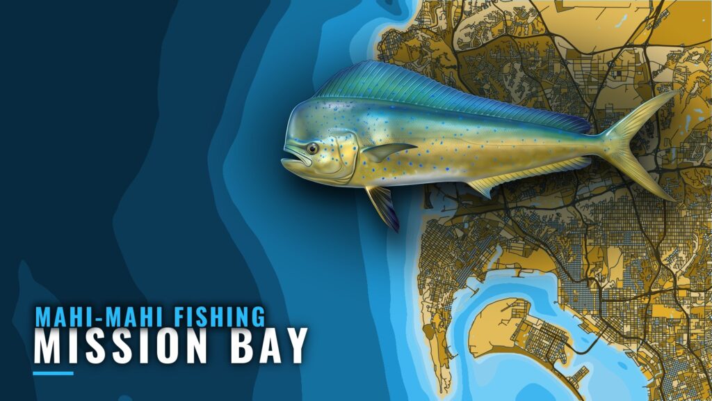 Mahi-mahi Fishing Out of Mission Bay: Where Dorado Run