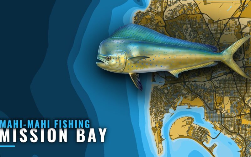 Mahi-mahi Fishing Out of Mission Bay: Where Dorado Run