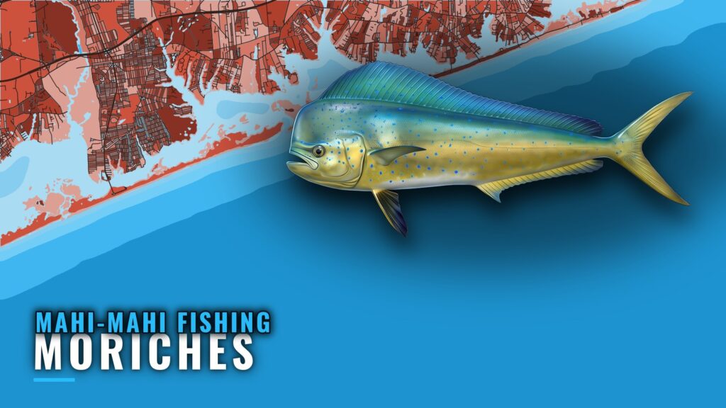 Mahi-mahi fishing out of Moriches: reef, wreck and inlet