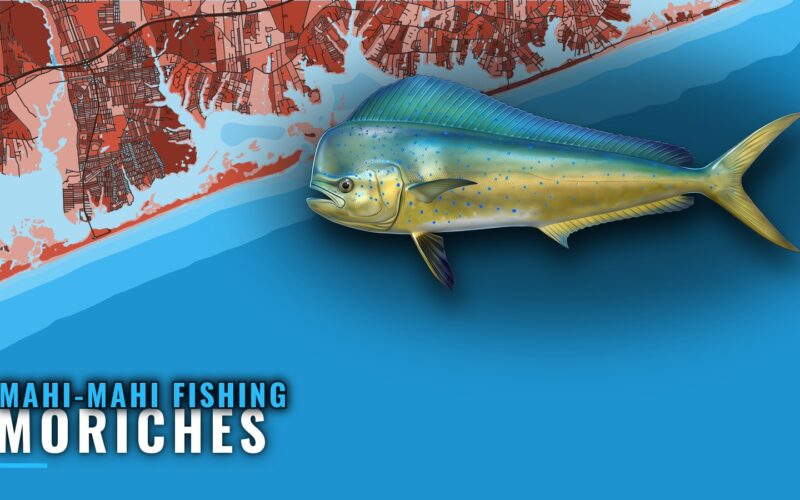 Mahi-mahi fishing out of Moriches: reef, wreck and inlet