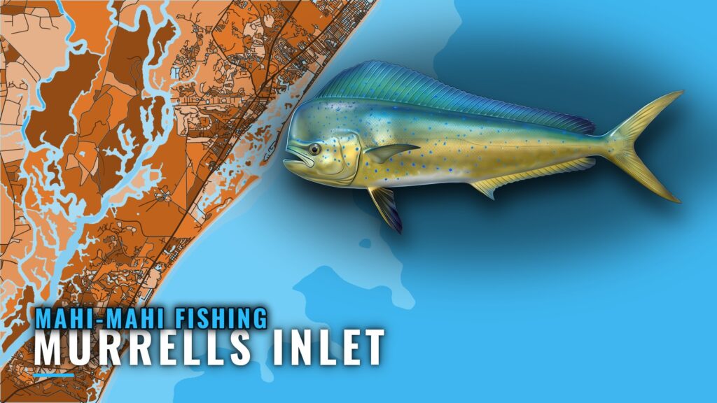 Mahi-Mahi Fishing Out of Murrells Inlet: Runs and Grounds