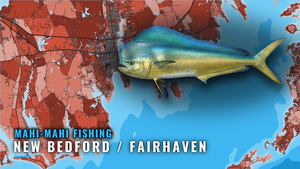 Mahi-mahi Fishing out of New Bedford / Fairhaven, MA