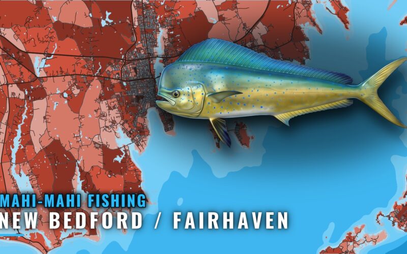 Mahi-mahi Fishing out of New Bedford / Fairhaven, MA