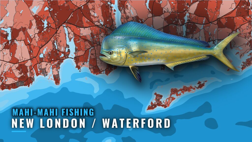 Mahi-mahi Fishing Out of New London / Waterford, CT