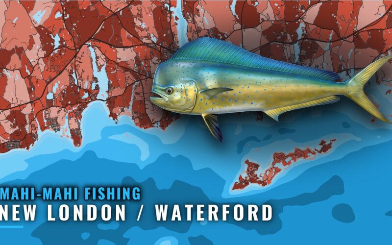 Mahi-mahi Fishing Out of New London / Waterford, CT