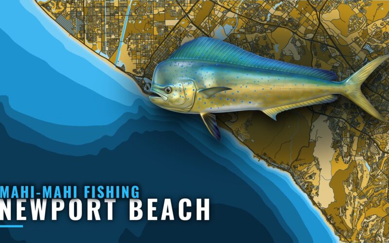 Mahi-mahi fishing out of Newport Beach: where to look