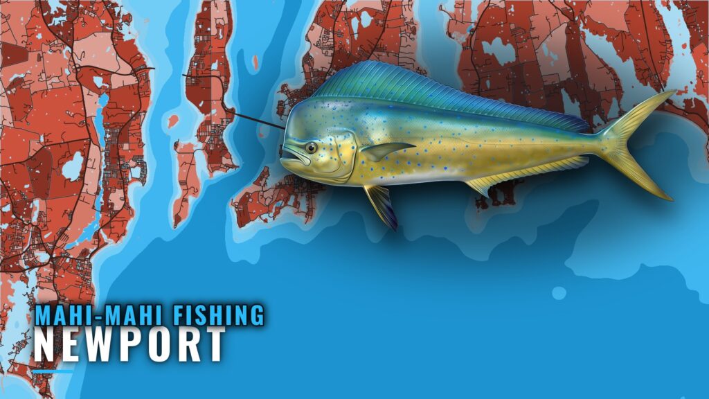 Mahi-mahi fishing out of Newport: a port briefing