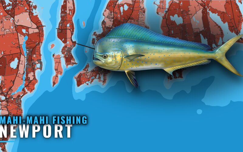 Mahi-mahi fishing out of Newport: a port briefing
