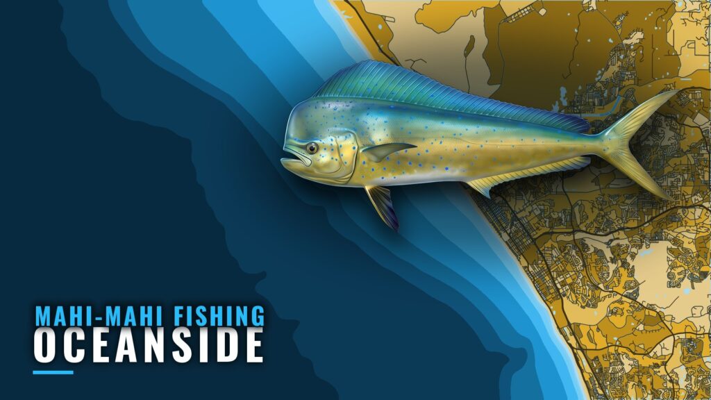 Mahi-mahi Fishing out of Oceanside: Season, Runs, Reefs