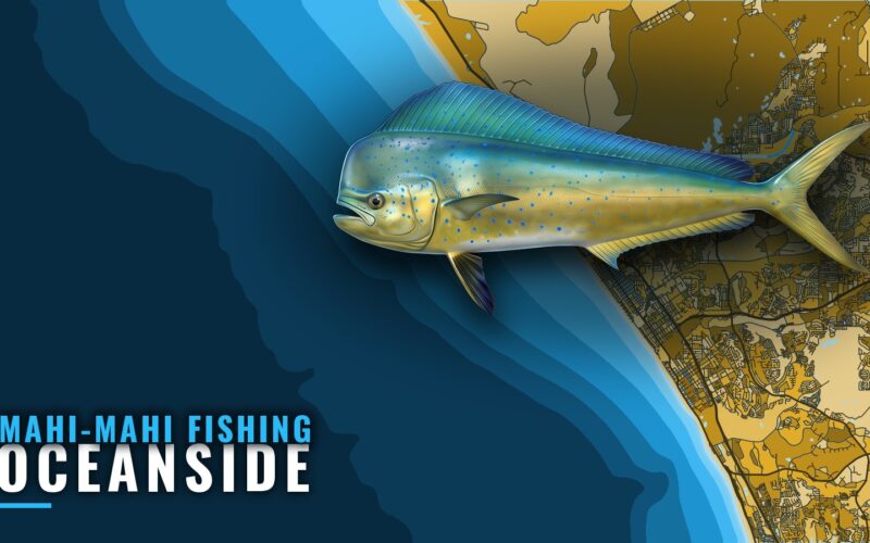 Mahi-mahi Fishing out of Oceanside: Season, Runs, Reefs
