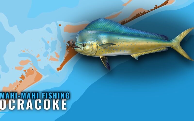 Mahi-mahi fishing out of Ocracoke: grounds, season, boats