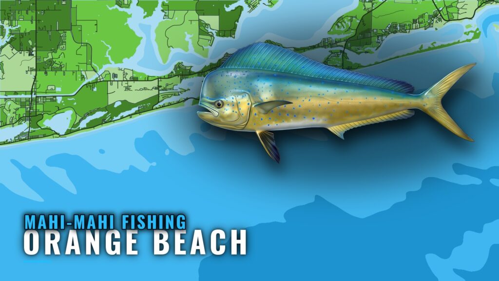 Mahi-Mahi Fishing Out of Orange Beach: Structure and Runs