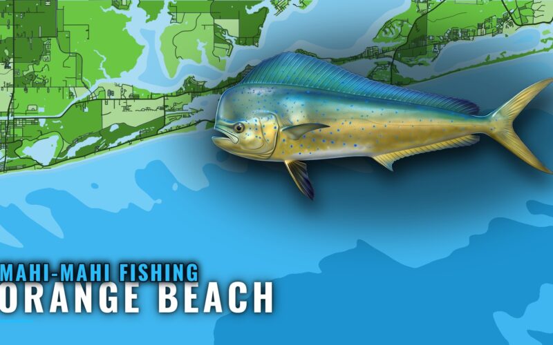 Mahi-Mahi Fishing Out of Orange Beach: Structure and Runs