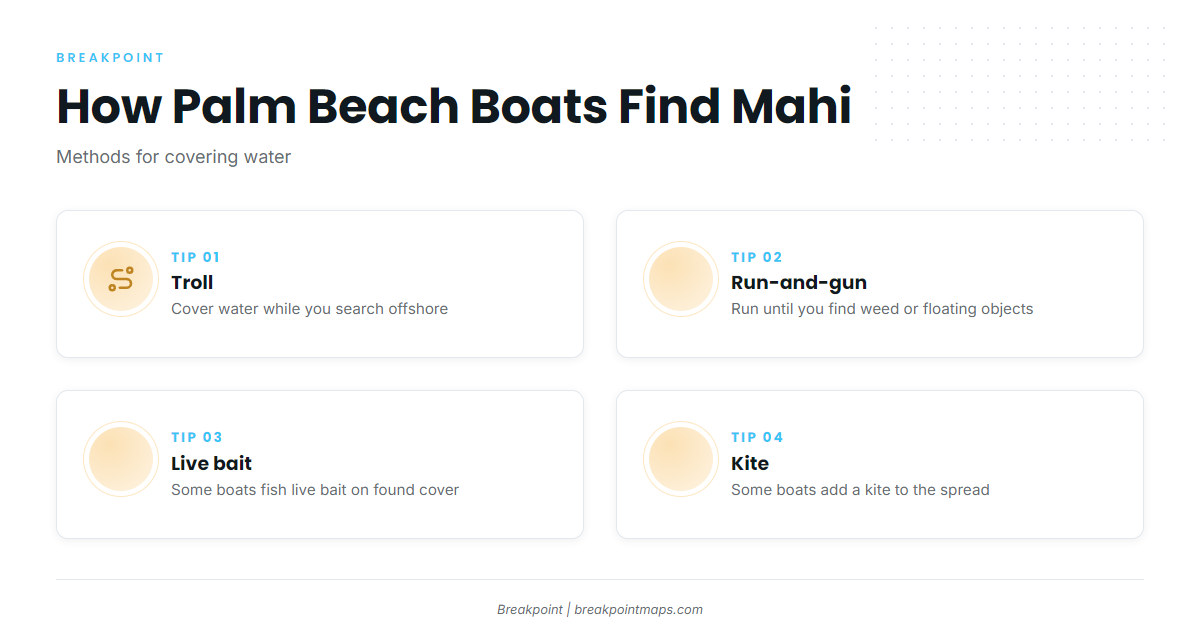 How mahi are fished out of Palm Beach