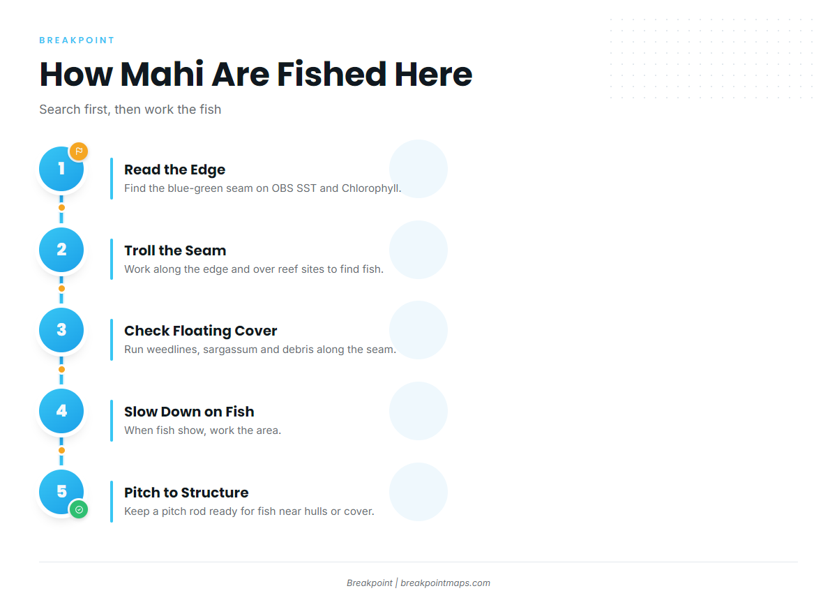How Mahi Are Fished Here