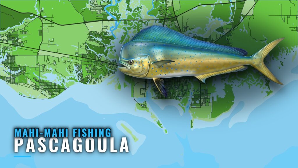 Mahi-Mahi Fishing out of Pascagoula: Grounds and Water