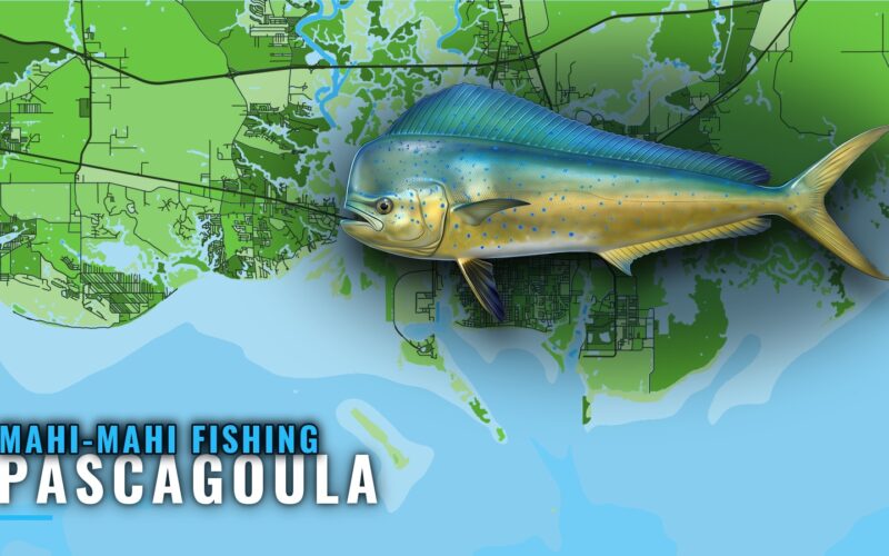 Mahi-Mahi Fishing out of Pascagoula: Grounds and Water