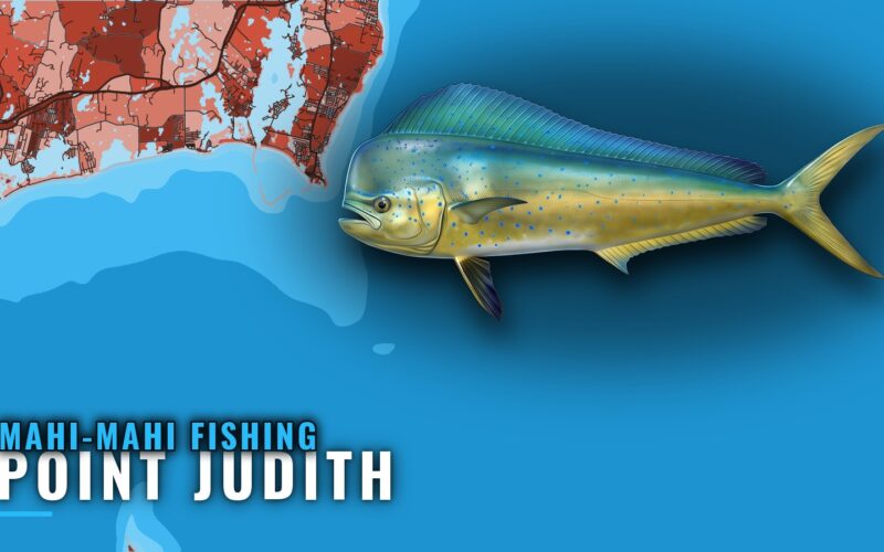 Mahi-mahi fishing out of Point Judith: where boats run