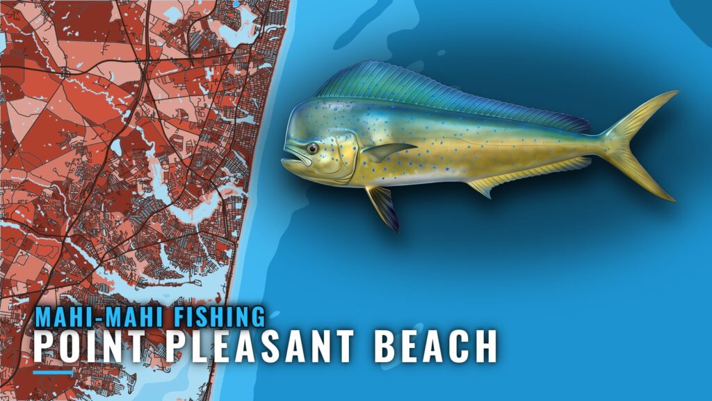 Mahi-mahi Fishing out of Point Pleasant Beach, NJ