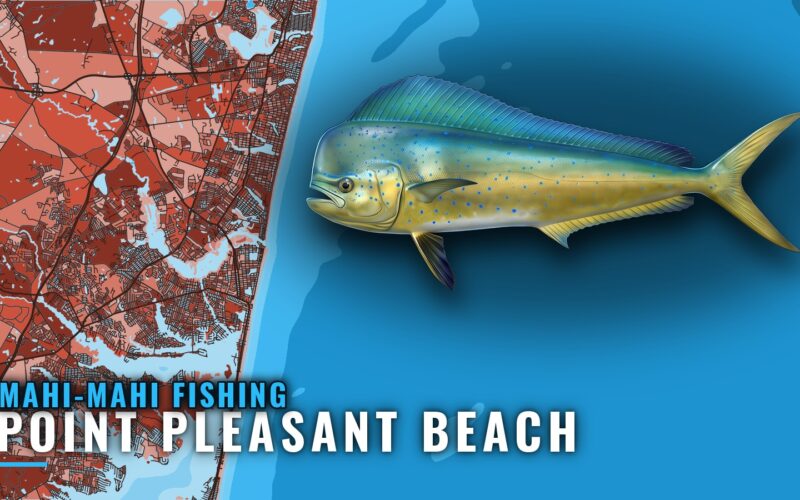 Mahi-mahi Fishing out of Point Pleasant Beach, NJ
