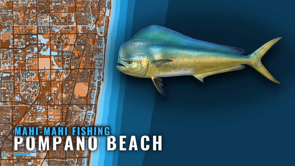 Mahi-mahi Fishing out of Pompano Beach: When and Where