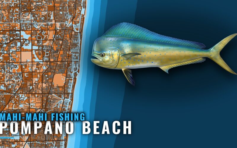 Mahi-mahi Fishing out of Pompano Beach: When and Where