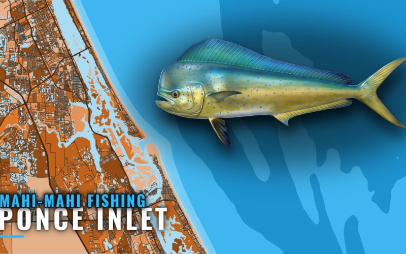 Mahi-Mahi Fishing Out of Ponce Inlet: Grounds and Runs