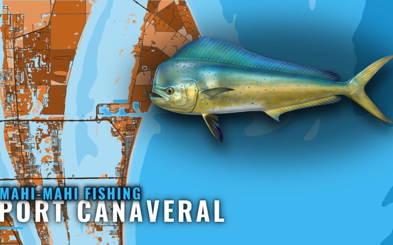 Mahi-mahi Fishing Out of Port Canaveral: Runs and Grounds