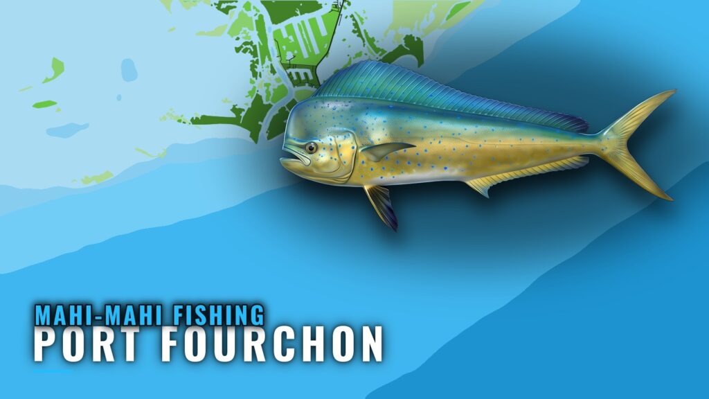 Mahi-mahi Fishing out of Port Fourchon: Reef, Rigs, Methods