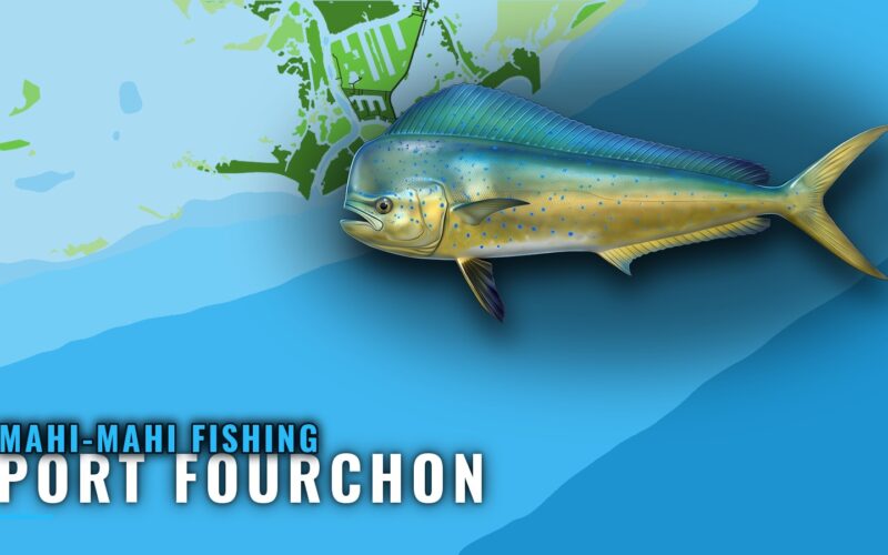 Mahi-mahi Fishing out of Port Fourchon: Reef, Rigs, Methods