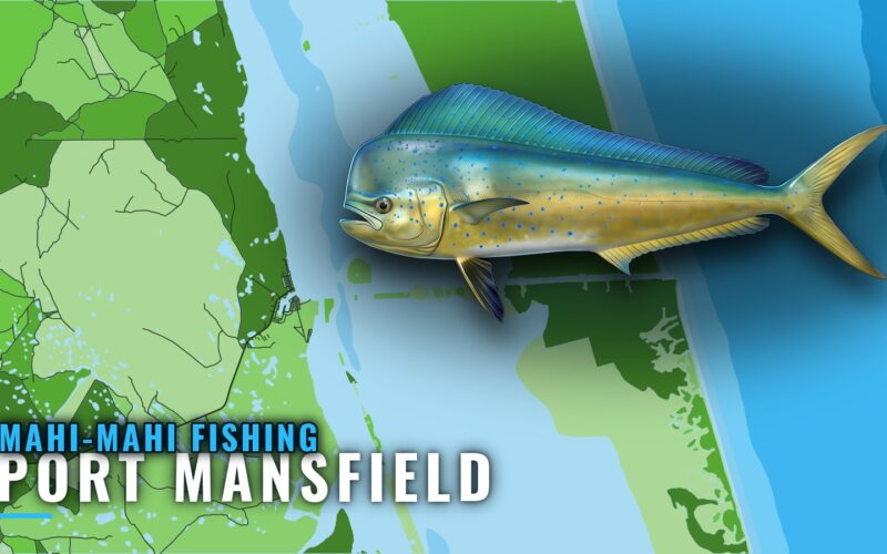 Mahi-mahi Fishing Out of Port Mansfield: Runs and Structure