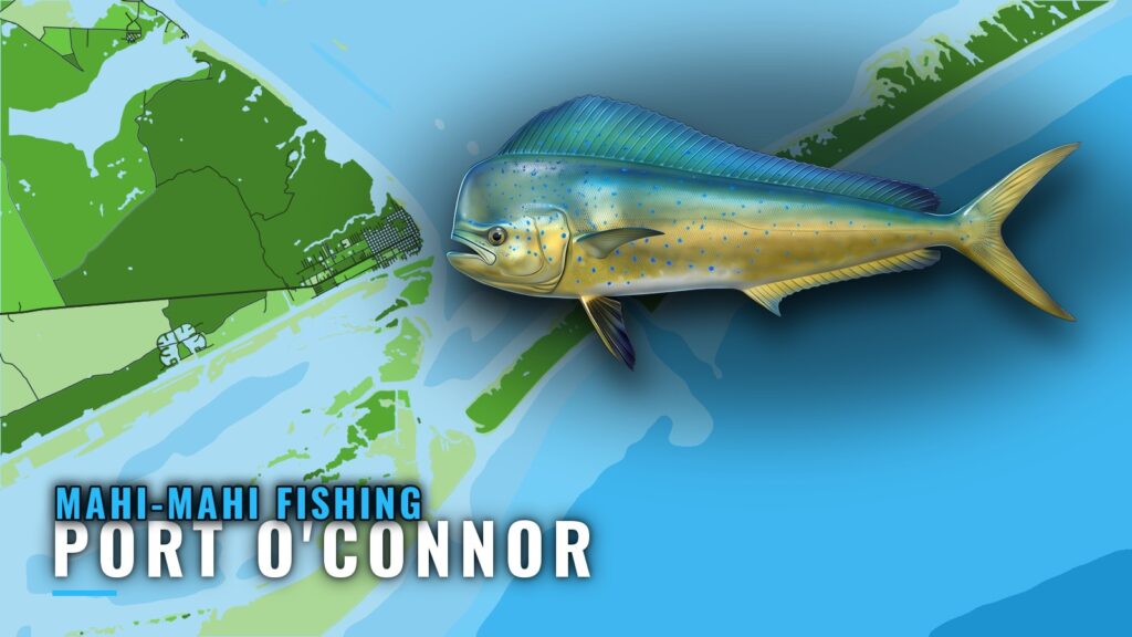 Mahi-mahi Fishing out of Port O’Connor: Season and Reefs