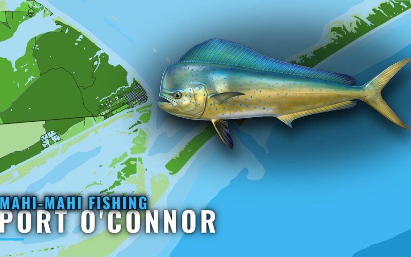 Mahi-mahi Fishing out of Port O’Connor: Season and Reefs
