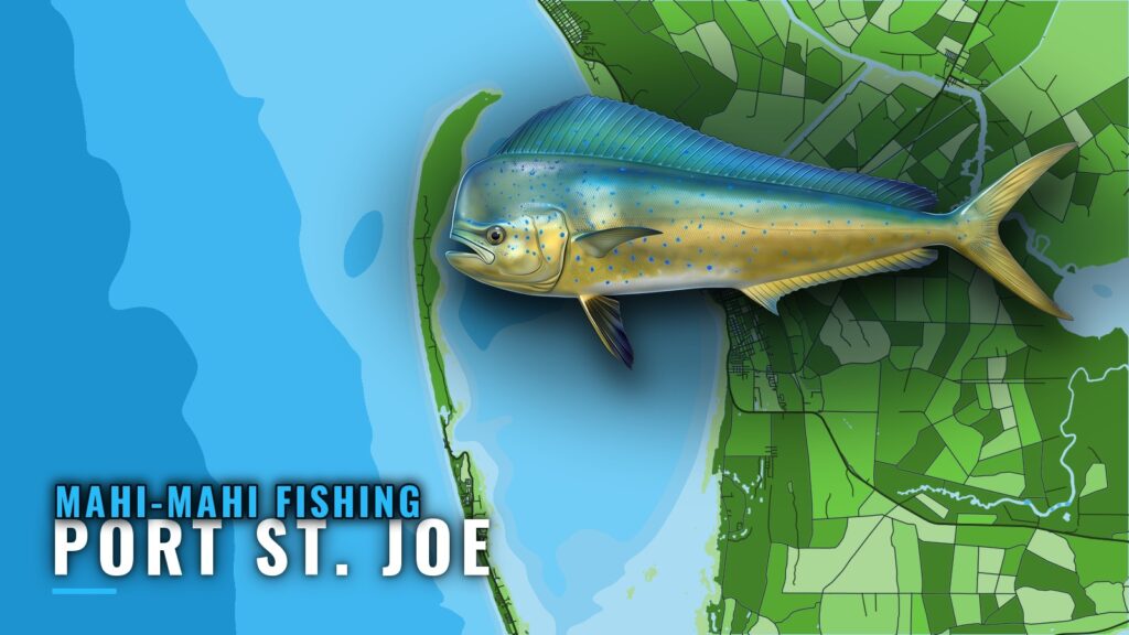 Mahi-mahi fishing out of Port St. Joe: Season and Grounds
