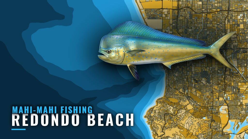 Mahi-mahi fishing out of Redondo Beach: a frank verdict