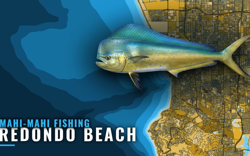 Mahi-mahi fishing out of Redondo Beach: a frank verdict