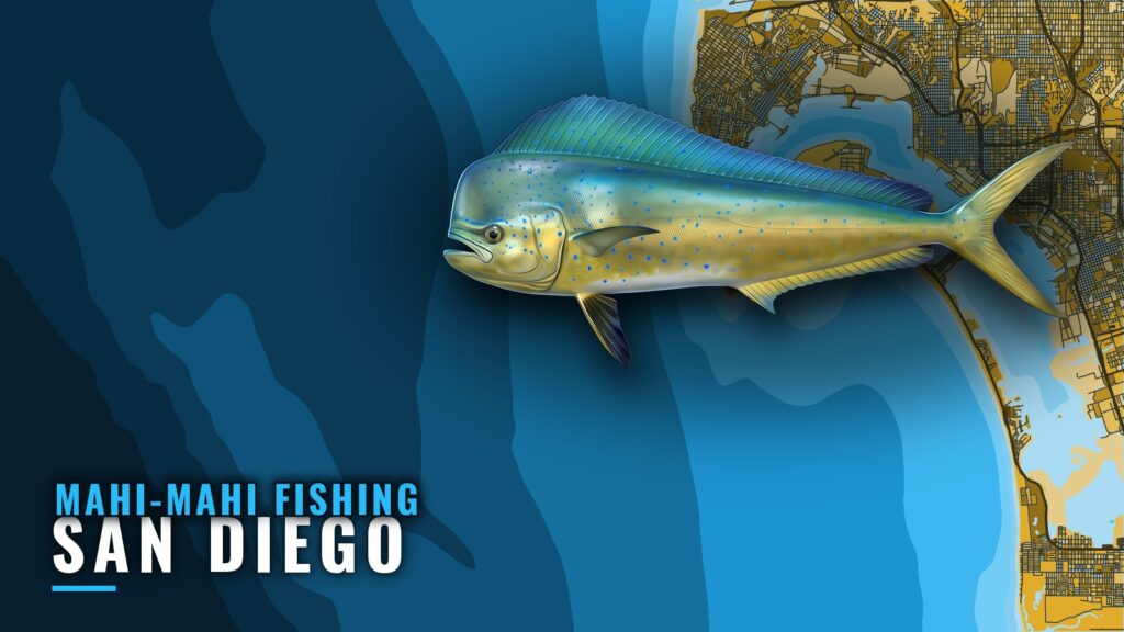 Mahi-mahi Fishing Out of San Diego: A Private Boat Guide