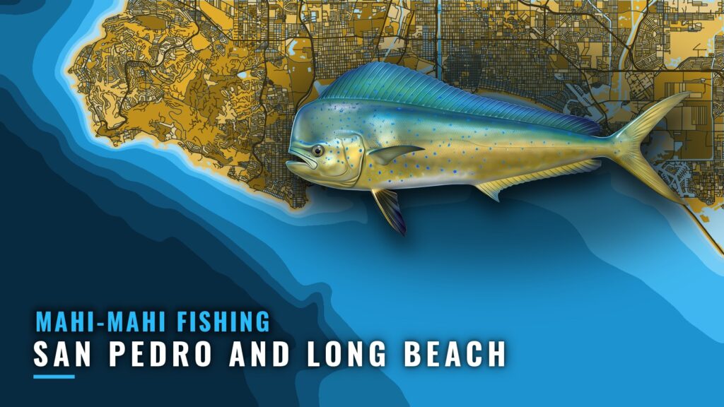 Mahi-Mahi Fishing Out of San Pedro and Long Beach