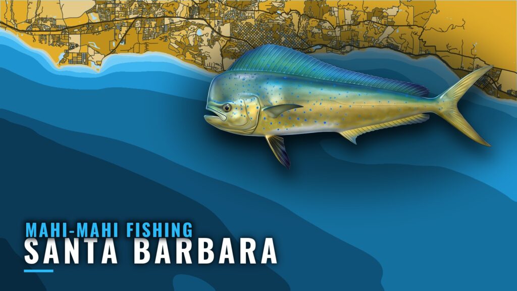Mahi-mahi Fishing Out of Santa Barbara: Paddies and Grounds