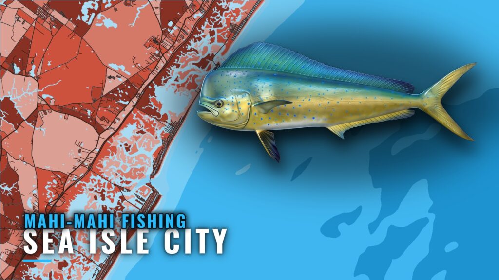 Mahi-mahi fishing out of Sea Isle City: grounds and runs