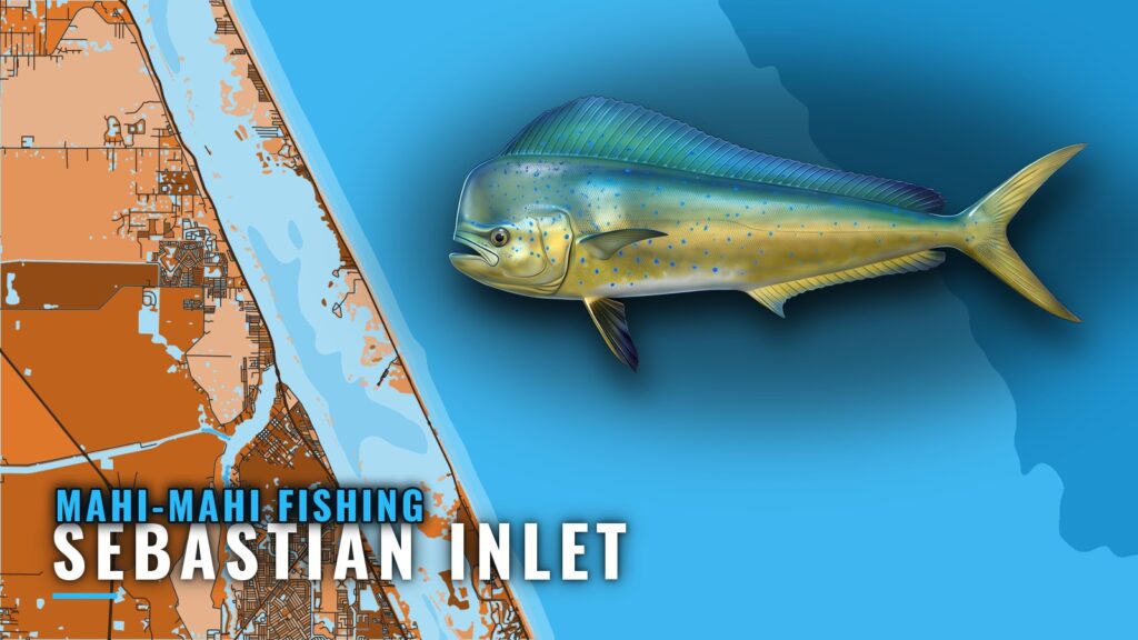 Mahi-mahi fishing out of Sebastian Inlet: runs and depths