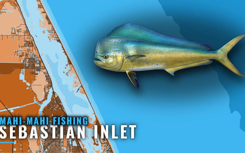 Mahi-mahi fishing out of Sebastian Inlet: runs and depths