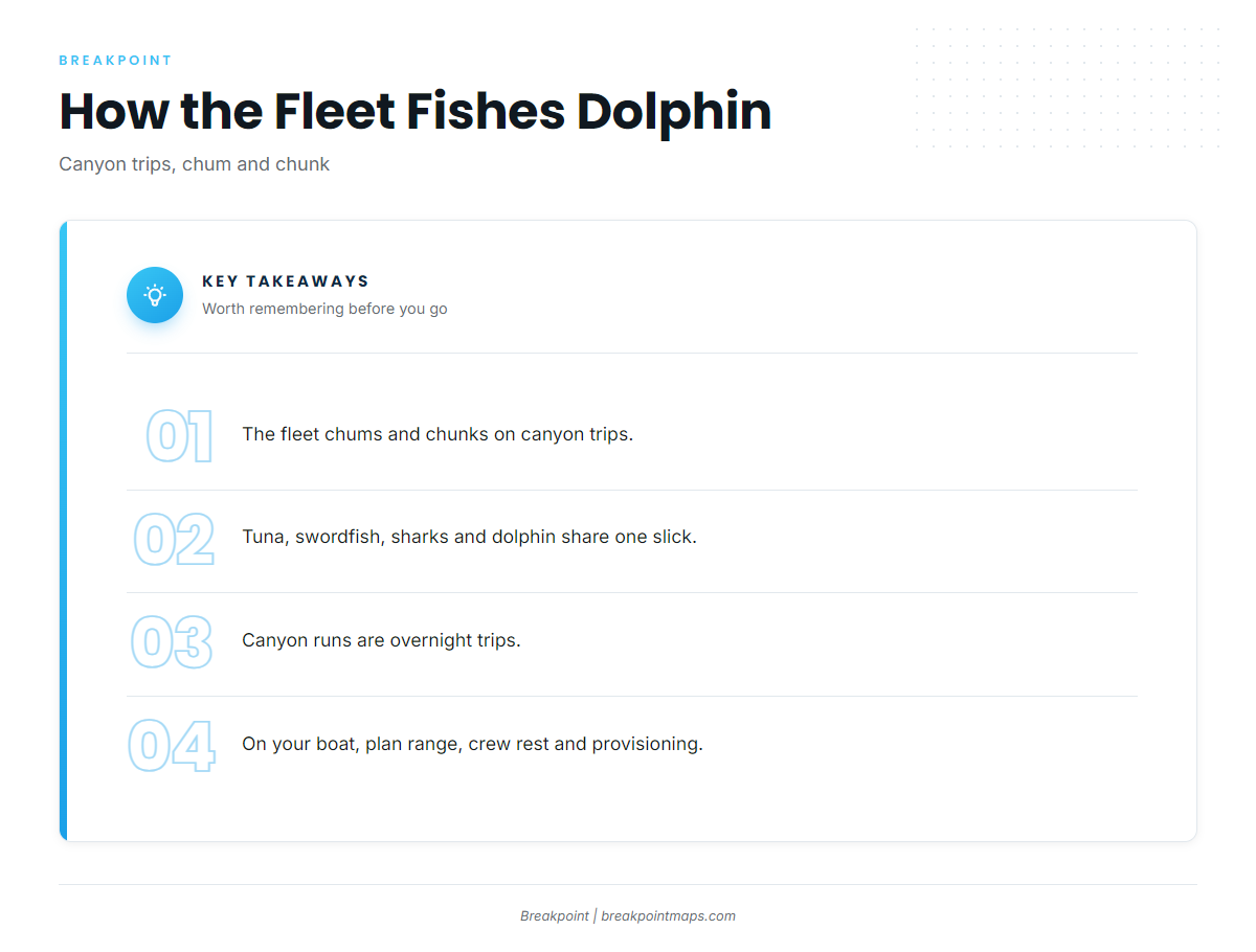 How dolphin are fished from this port