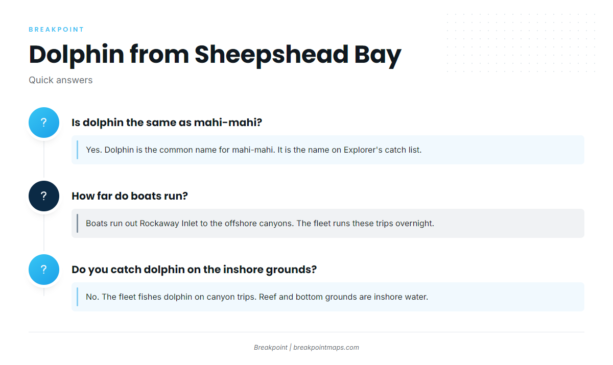 FAQ about mahi-mahi fishing out of Sheepshead Bay