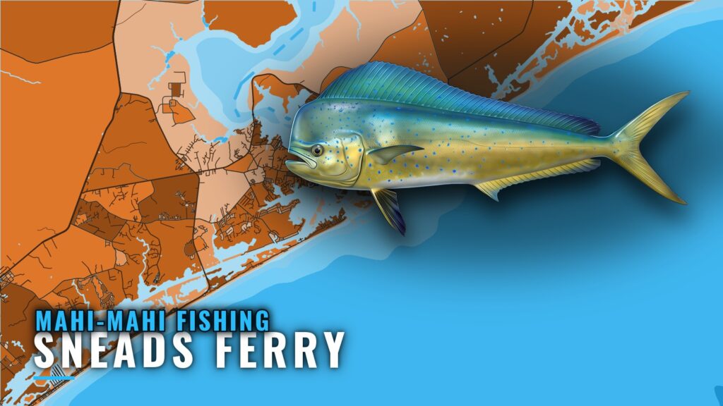Mahi-mahi fishing out of Sneads Ferry: where to look